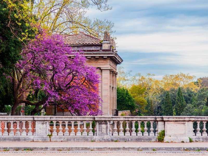 Villa Borghese Natur